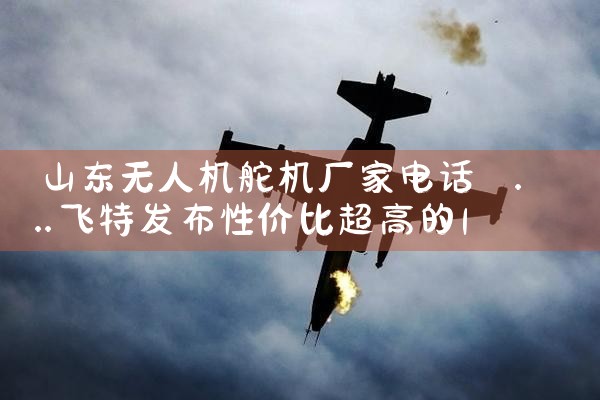 ɽ˻ҵ绰|˻UAV