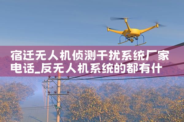 Ǩ˻ϵͳҵ绰|˻UAV